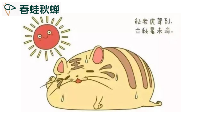 三恒系統(tǒng)-秋“老虎”你打算怎么過